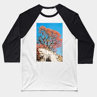 Autumn Colours in the Carso Baseball T-Shirt